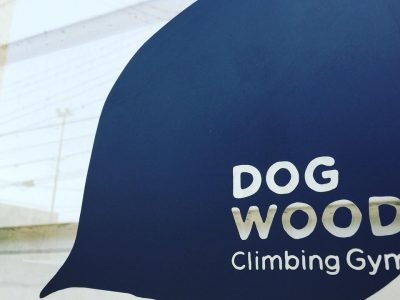 DogWood調布店のクライミングウォール