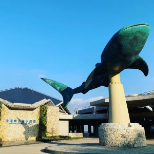 クライミングソムリエ沖縄ソロツアー2019