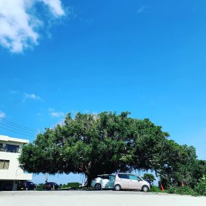 クライミングソムリエ沖縄ソロツアー2019